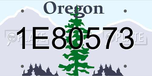 1E80573 Oregon License Plate