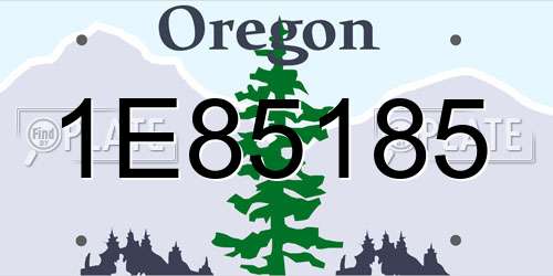 1E85185 Oregon License Plate