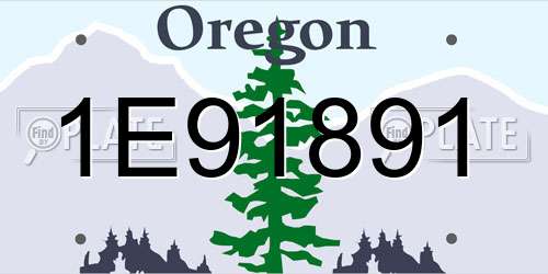 1E91891 Oregon License Plate