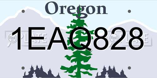 1EAQ828 Oregon License Plate