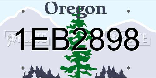 1EB2898 Oregon License Plate