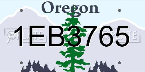 1EB3765 Oregon License Plate