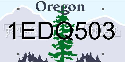 1EDQ503 Oregon License Plate