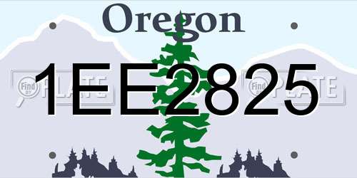 1EE2825 Oregon License Plate