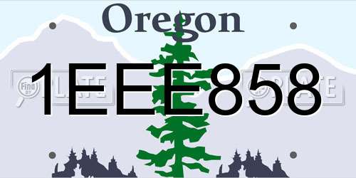 1EEE858 Oregon License Plate