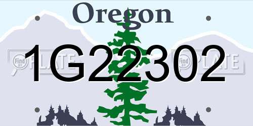 1G22302 Oregon License Plate