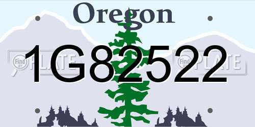 1G82522 Oregon License Plate