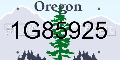 1G85925 Oregon License Plate