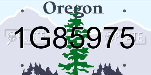 1G85975 Oregon License Plate