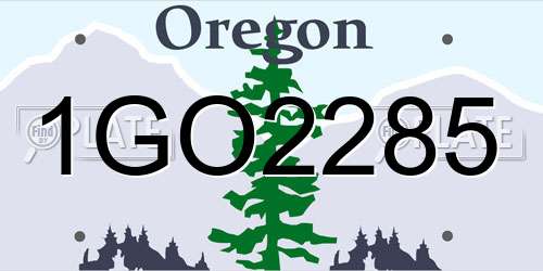 1GO2285 Oregon License Plate