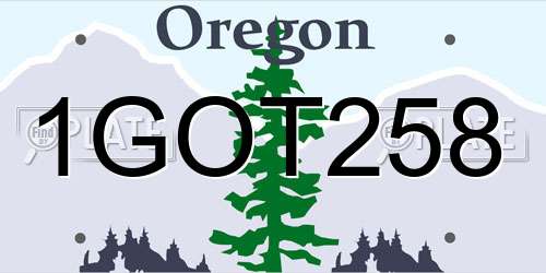 1GOT258 Oregon License Plate