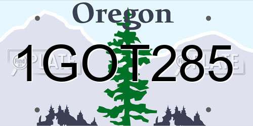 1GOT285 Oregon License Plate