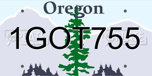 1GOT755 Oregon License Plate
