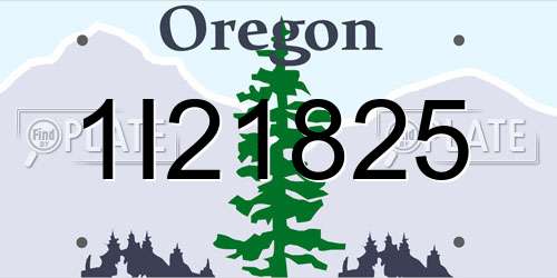 1I21825 Oregon License Plate