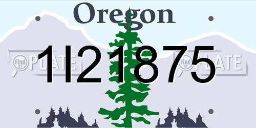 1I21875 Oregon License Plate