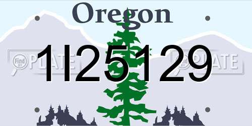 1I25129 Oregon License Plate