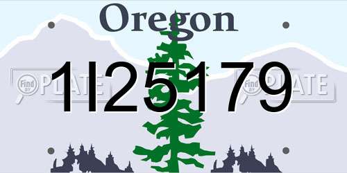 1I25179 Oregon License Plate