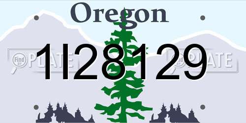 1I28129 Oregon License Plate