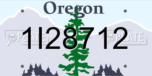 1I28712 Oregon License Plate
