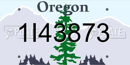1I43873 Oregon License Plate