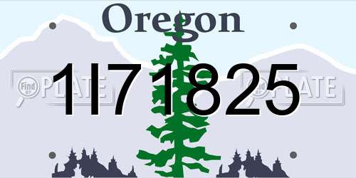 1I71825 Oregon License Plate