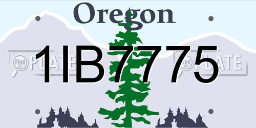 1IB7775 Oregon License Plate