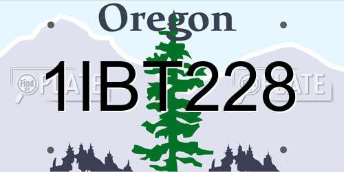 1IBT228 Oregon License Plate
