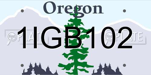 1IGB102 Oregon License Plate