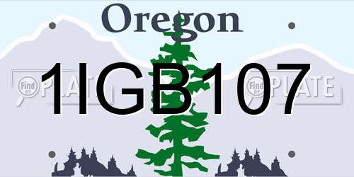 1IGB107 Oregon License Plate