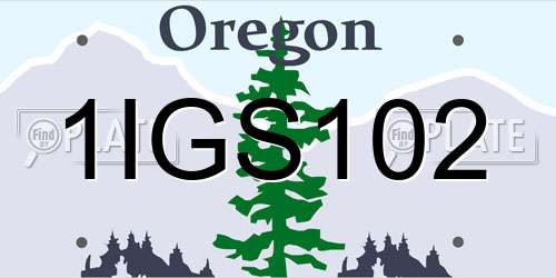 1IGS102 Oregon License Plate