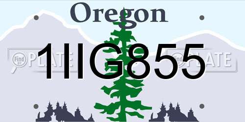 1IIG855 Oregon License Plate