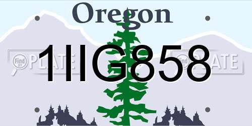 1IIG858 Oregon License Plate