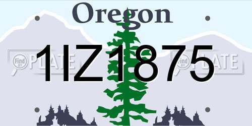 1IZ1875 Oregon License Plate