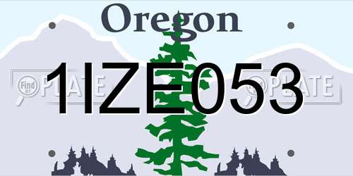 1IZE053 Oregon License Plate