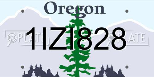 1IZI828 Oregon License Plate