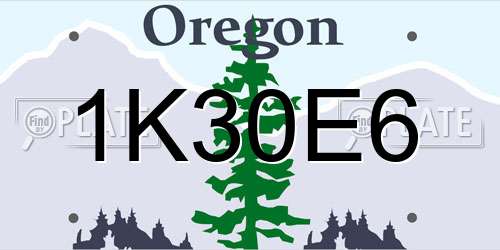 1K30E6 Oregon License Plate