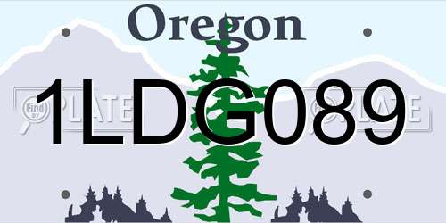 1LDG089 Oregon License Plate
