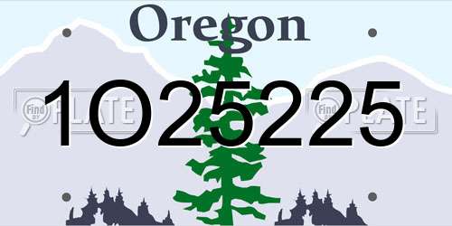 1O25225 Oregon License Plate
