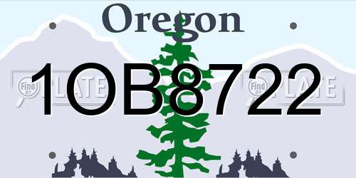 1OB8722 Oregon License Plate