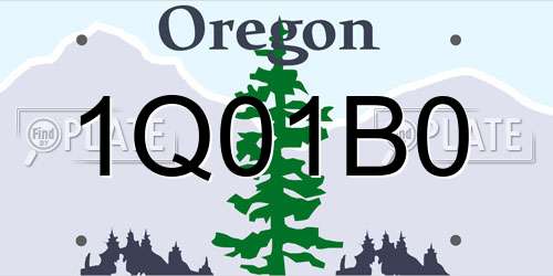 1Q01B0 Oregon License Plate