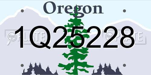 1Q25228 Oregon License Plate