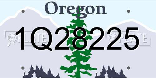 1Q28225 Oregon License Plate