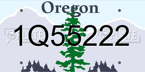 1Q55222 Oregon License Plate