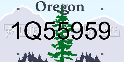 1Q55959 Oregon License Plate