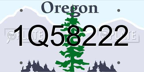 1Q58222 Oregon License Plate
