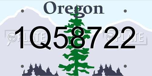 1Q58722 Oregon License Plate