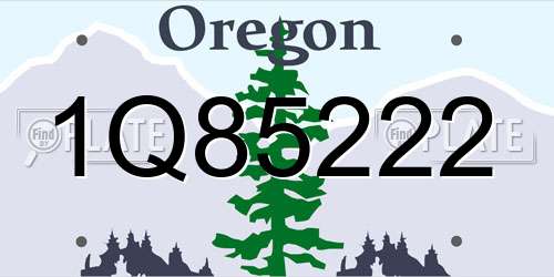 1Q85222 Oregon License Plate