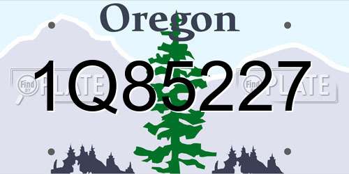 1Q85227 Oregon License Plate