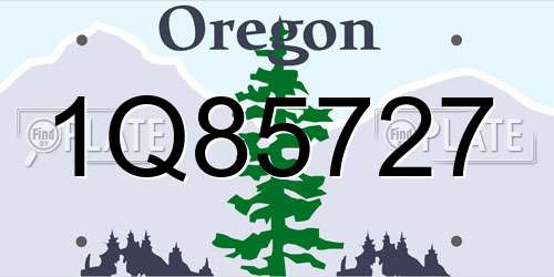 1Q85727 Oregon License Plate
