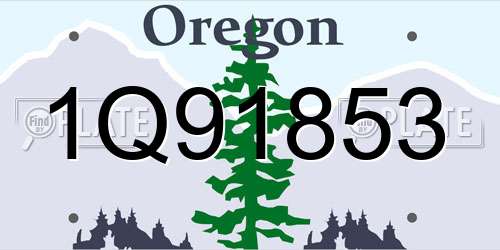 1Q91853 Oregon License Plate